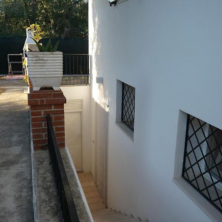 Olive&Sea Villa-Sea Mattinata Exterior photo