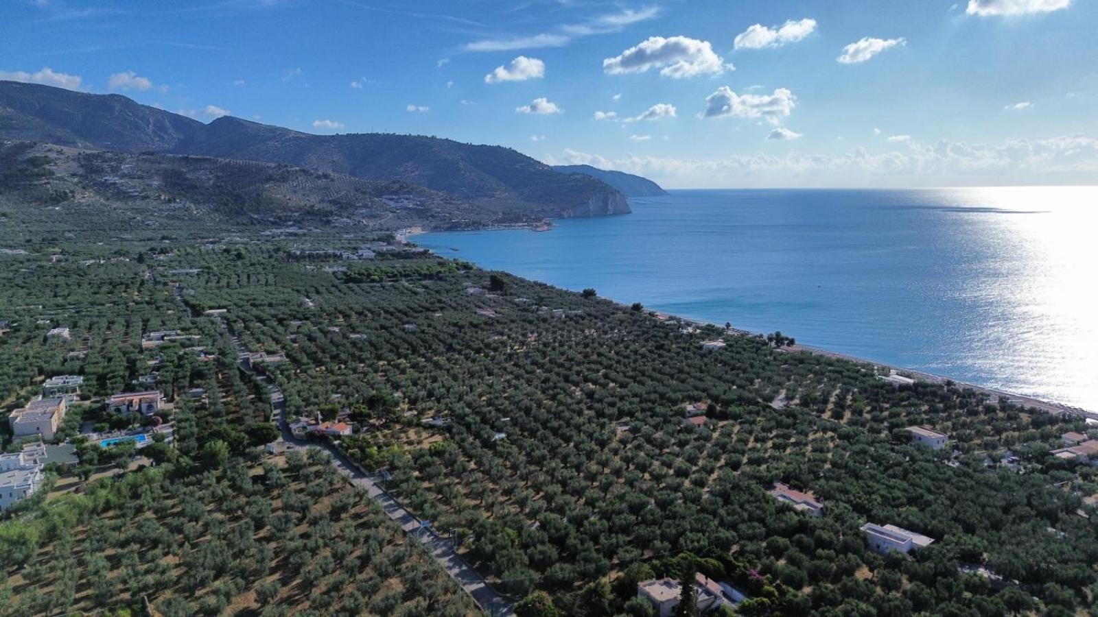 Olive&Sea Villa-Sea Mattinata Exterior photo